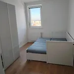 Apartamento Nový *